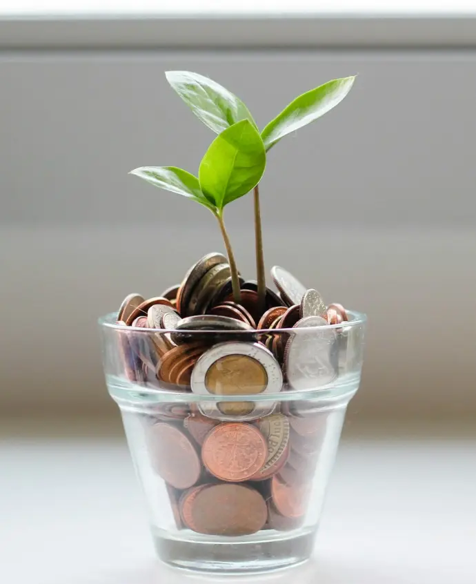 green plant in clear glass cup